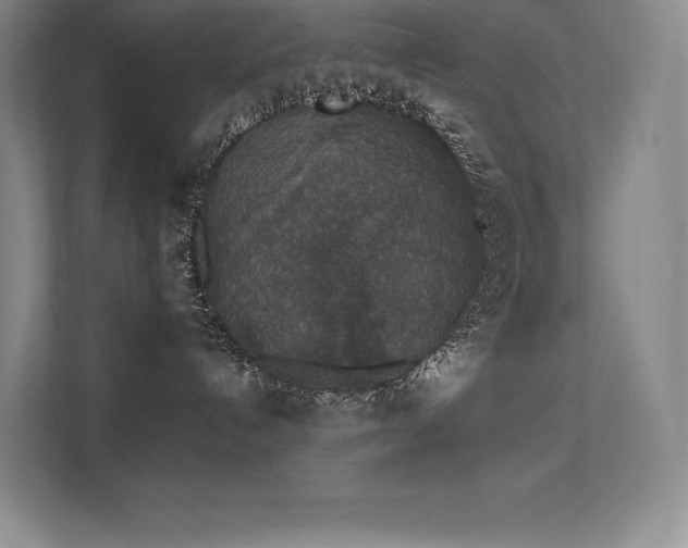 X0000112420192200908141418