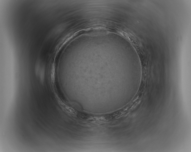 X0000112420194200908141418