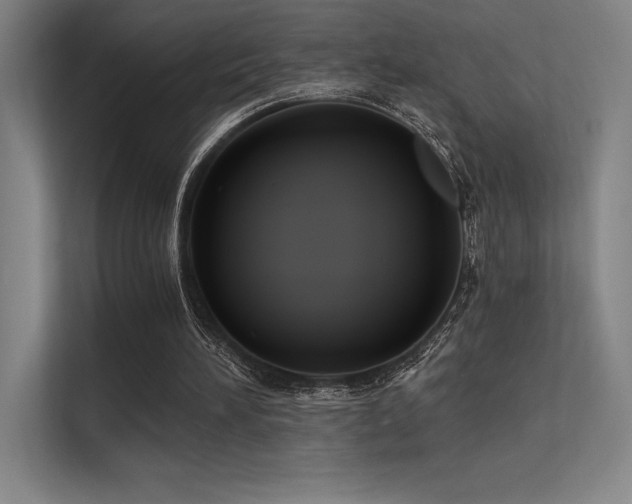 X0000112420196200908141418