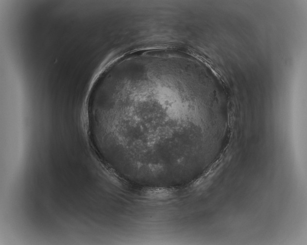 X0000112420198200908141418
