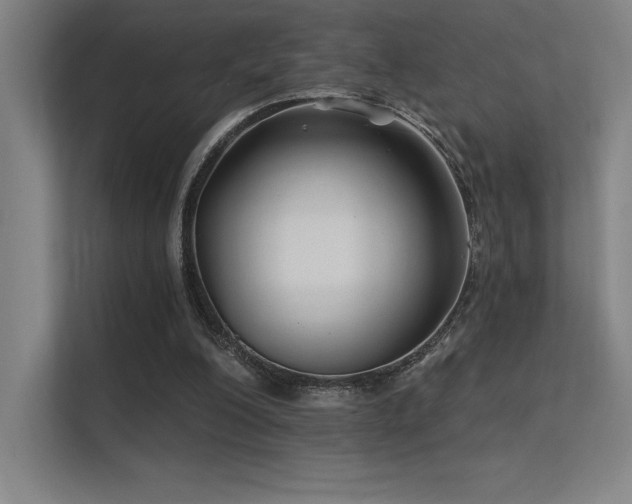 X0000112420200200908141417