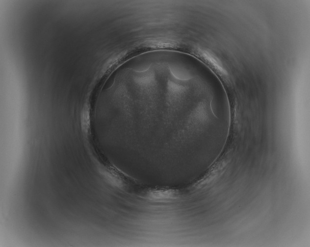 X0000112420202200908141417