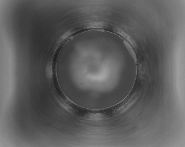 X0000112420203200908141417