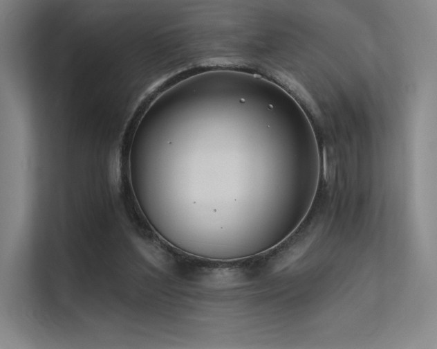X0000112420204200908141417