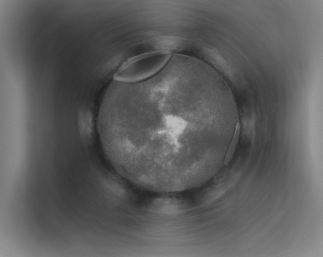 X0000112420211200908141417