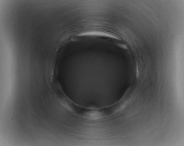X0000112420219200908141417