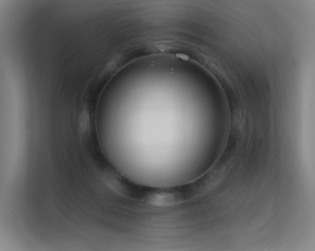 X0000112420220200908141417