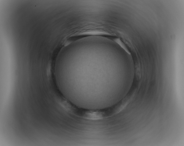 X0000112420221200908141417