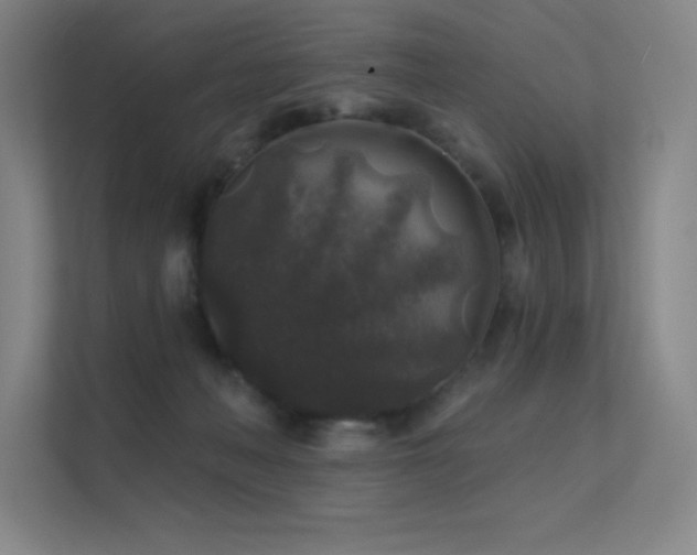 X0000112420222200908141417