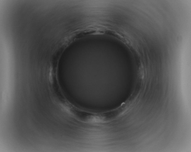X0000112420223200908141417