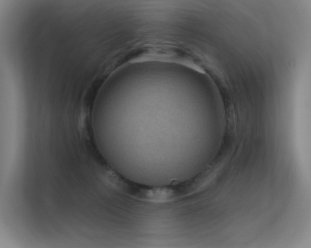 X0000112420225200908141417