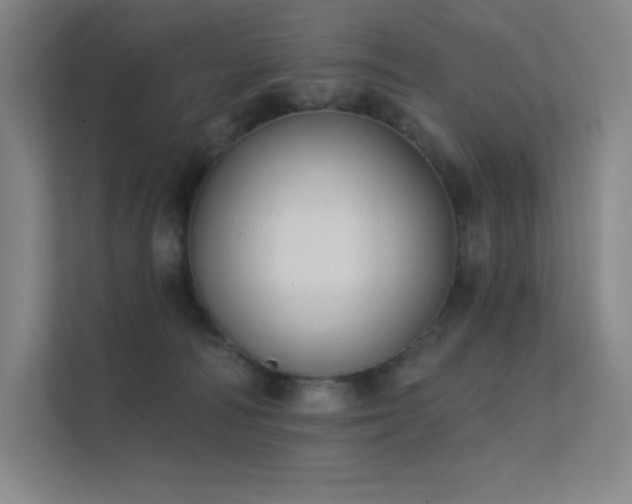 X0000112420226200908141417