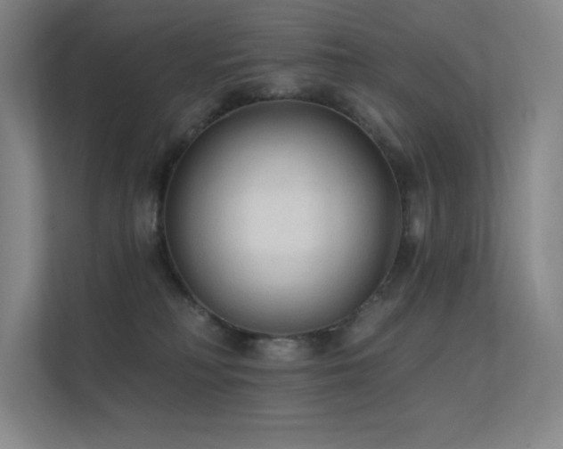 X0000112420230200908141417