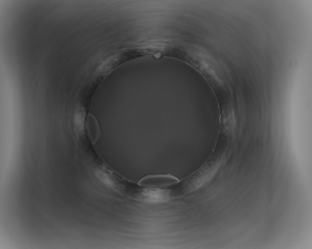 X0000112420231200908141417