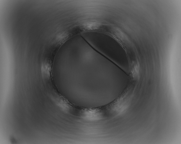 X0000112420235200908141417