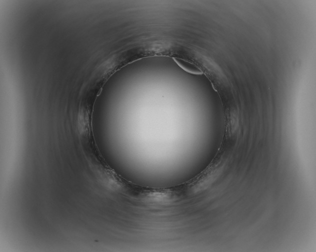 X0000112420236200908141417