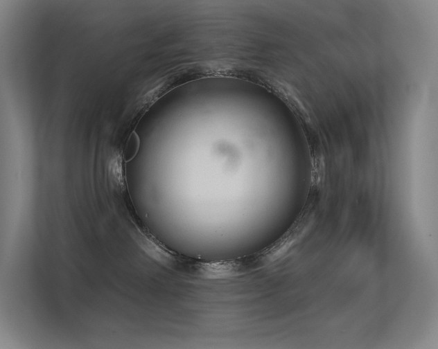 X0000112420238200908141417