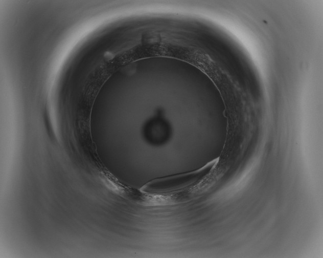 X0000112420239200908141417