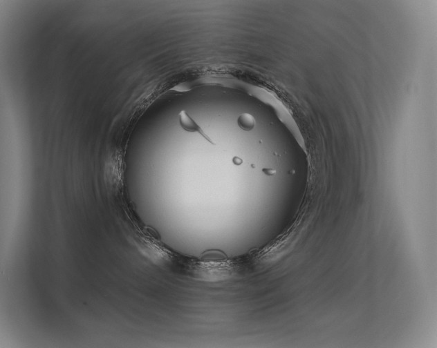X0000112420240200908141417