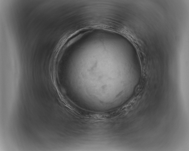 X0000112420241200908141416