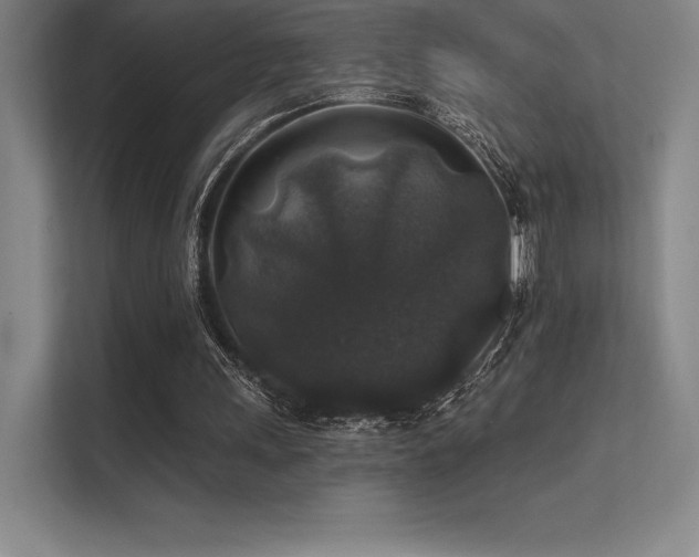 X0000112420243200908141416
