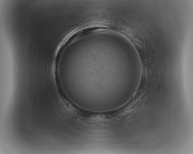 X0000112420244200908141416