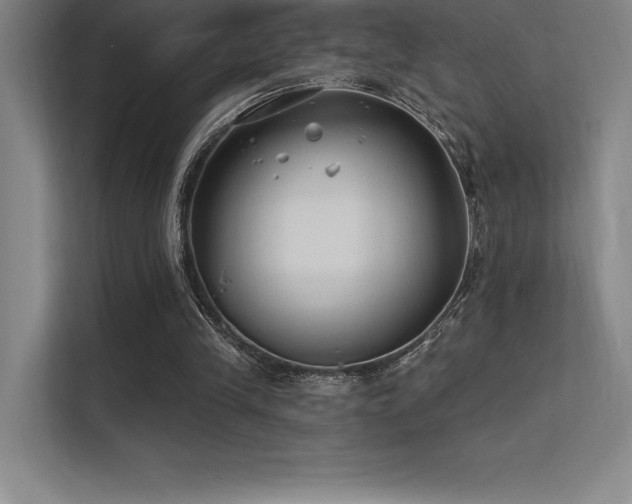 X0000112420245200908141416