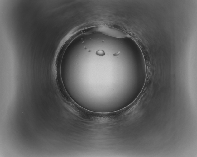 X0000112420246200908141416
