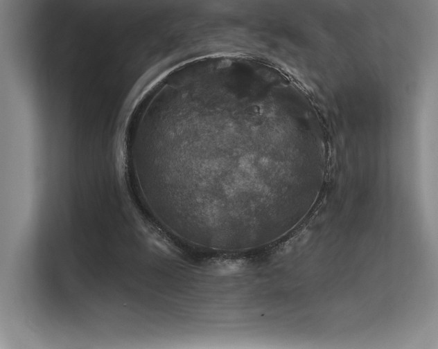 X0000112420247200908141416
