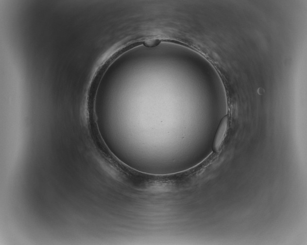 X0000112420248200908141416