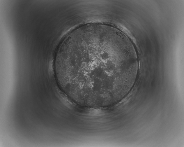 X0000112420249200908141416