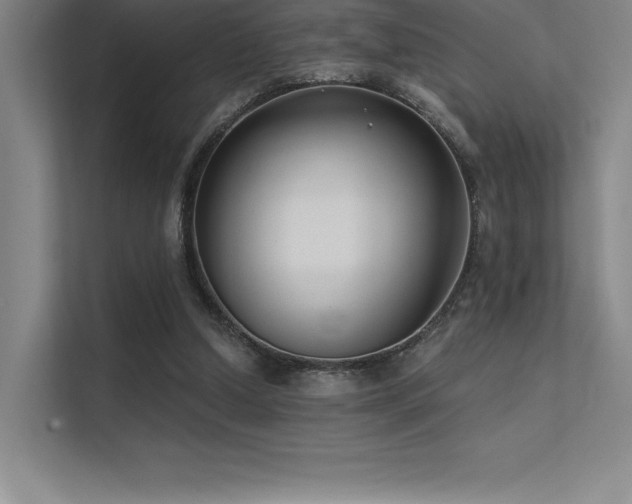 X0000112420250200908141416