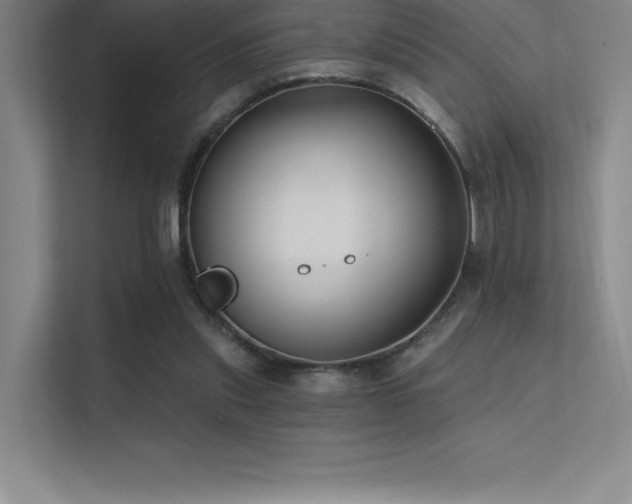 X0000112420253200908141416