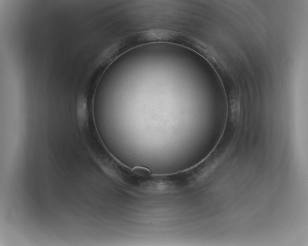 X0000112420254200908141417