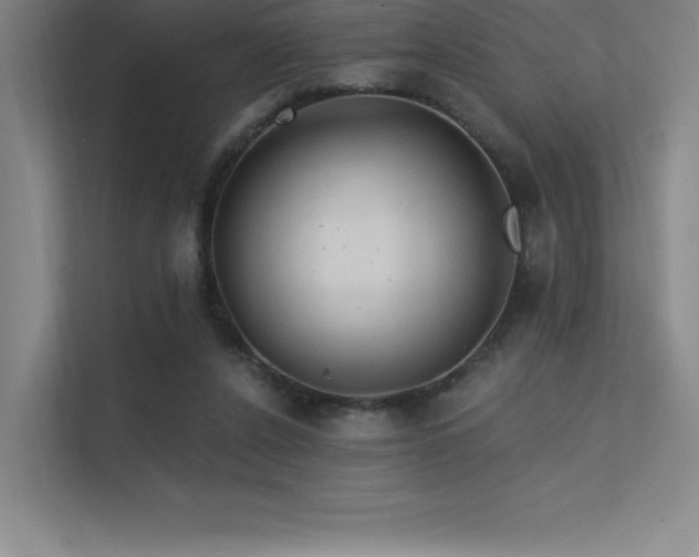 X0000112420256200908141417