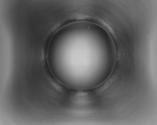 X0000112420257200908141417