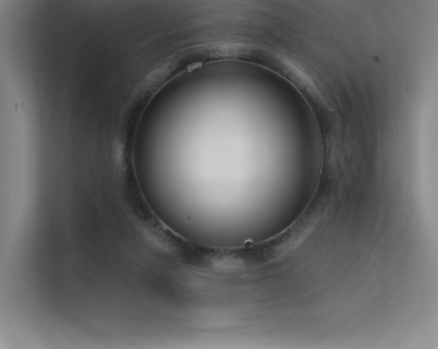 X0000112420258200908141417