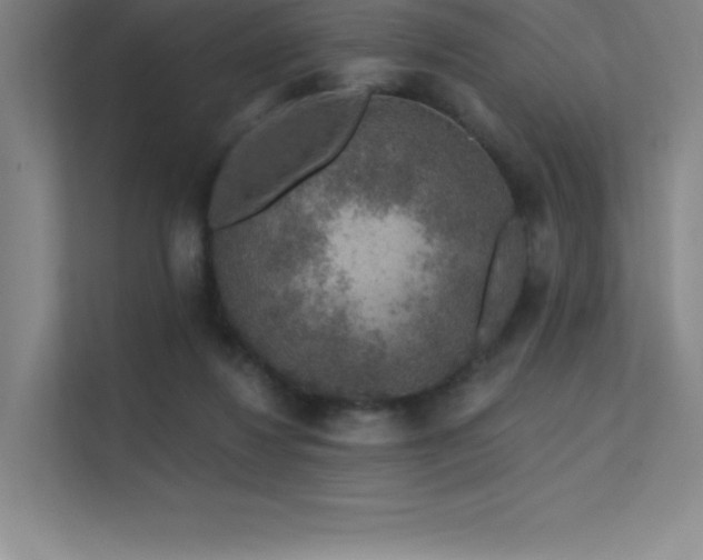 X0000112420260200908141417