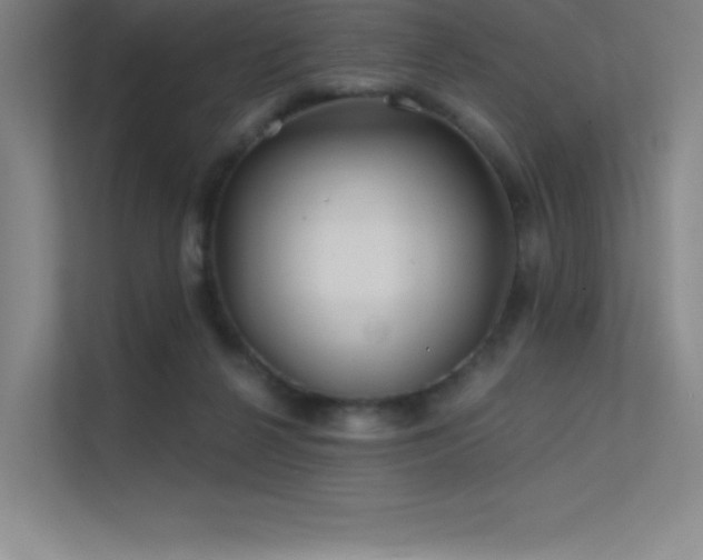 X0000112420264200908141417