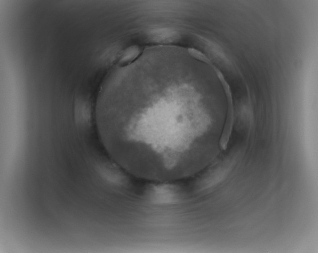 X0000112420268200908141417
