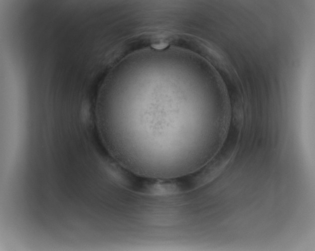 X0000112420270200908141417