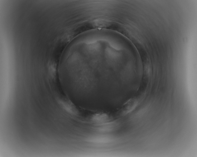 X0000112420271200908141417