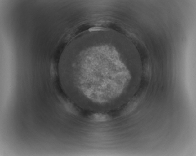 X0000112420272200908141417