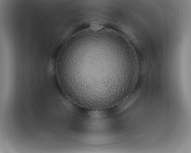 X0000112420273200908141417