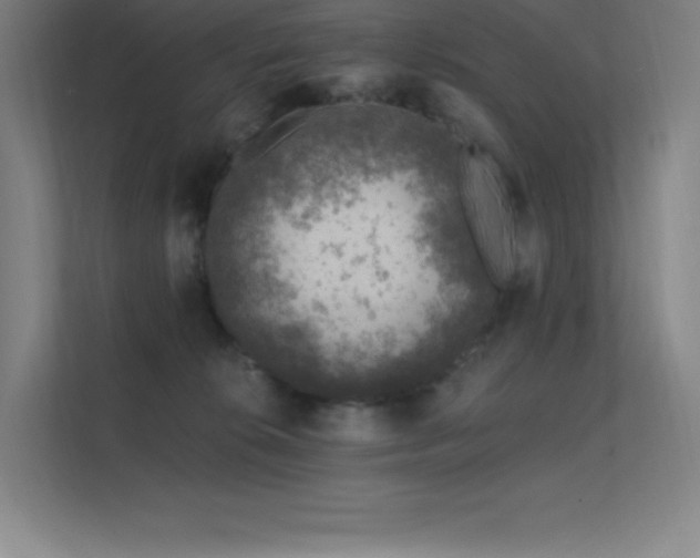 X0000112420276200908141417