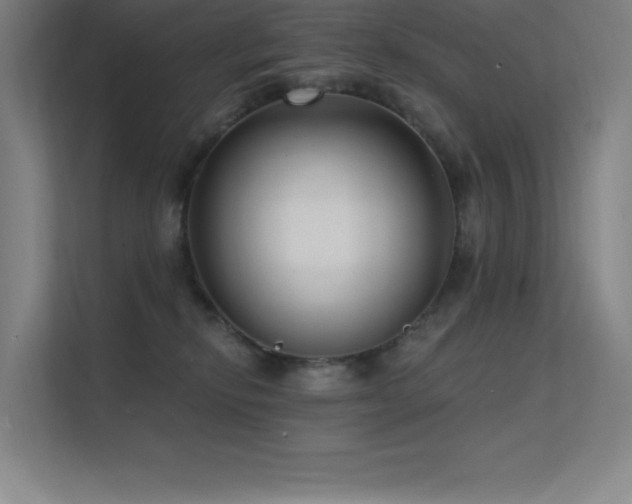 X0000112420278200908141417