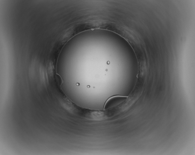 X0000112420279200908141417
