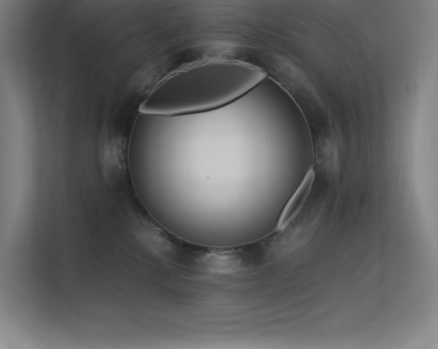 X0000112420280200908141417