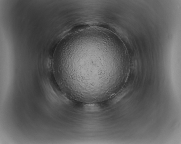 X0000112420281200908141417