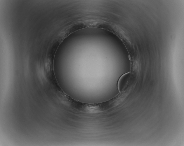 X0000112420283200908141417